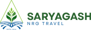 logo v